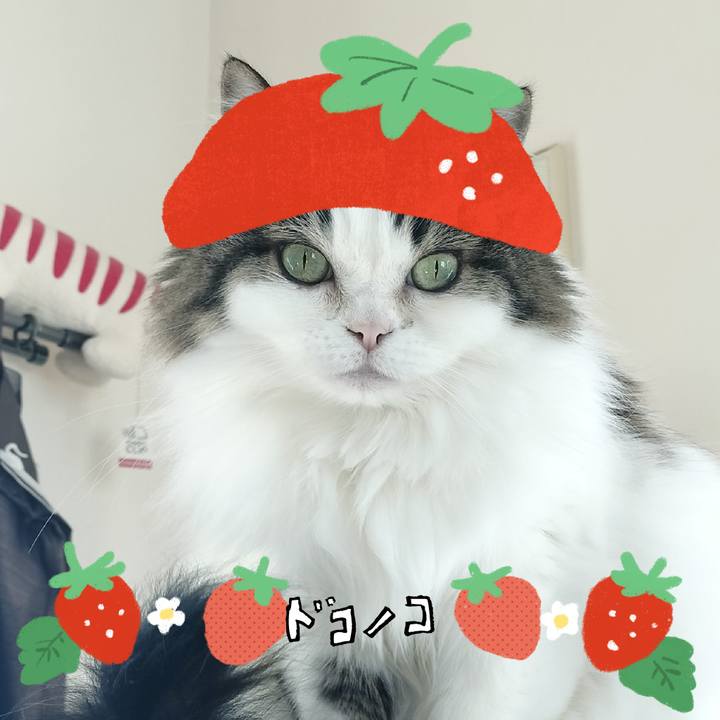 86d6a978 d280 4762 a343 a1494a4bc103 1775211316025