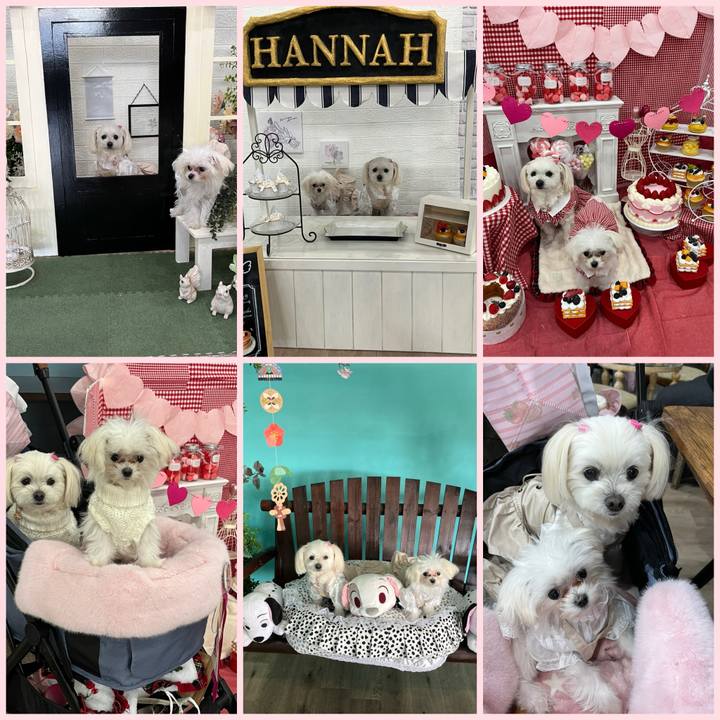 86d6aced 57d4 4b77 8a00 df69f1933c4b 1707039652461