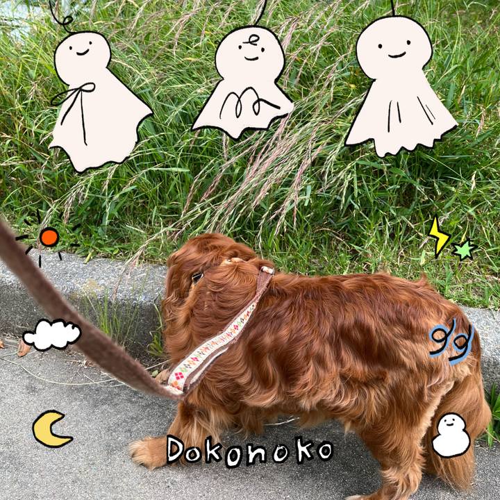 86d6b79e d522 4c4d b62c 7defe4a3710c 1749356653884