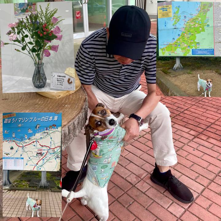 86d6b7fb a30a 416a a539 c8242f501442 1718677850465