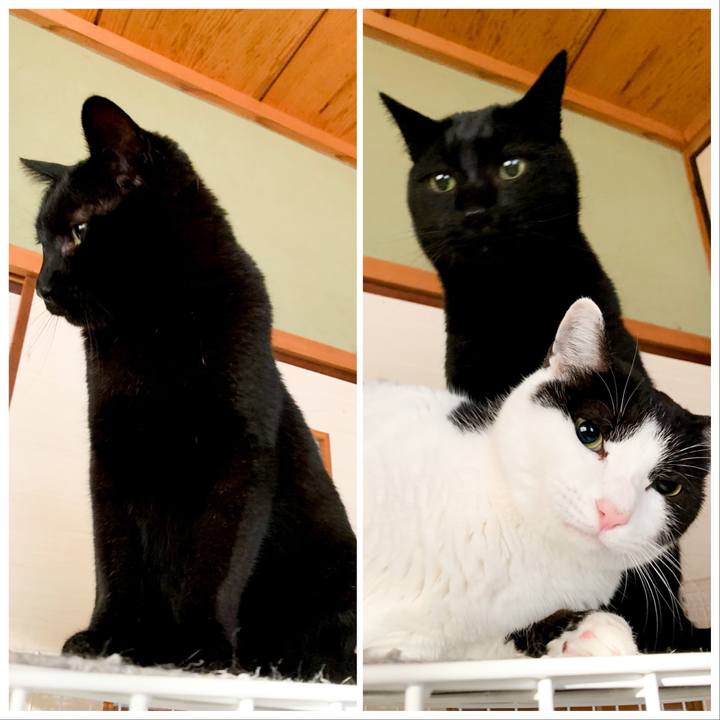 86d6b8f6 c00e 44eb 9de8 87ec80696927 1548207894525