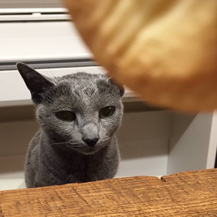 86d6bceb cc48 4d6c a8b8 a92b6c8aa961 1557788631683