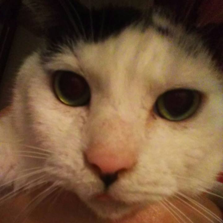 86d71381 7812 4775 9d38 cfec24202490 1589456896772