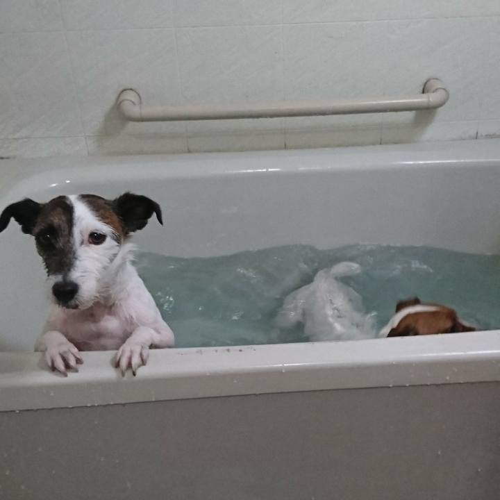 86d71edb 5577 4a4e a7fd c32de403b275 1551785678041