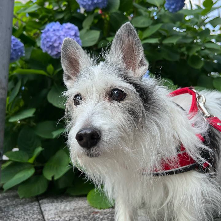 86d76461 a74a 43b7 9354 f4d9cb9da914 1653790324946