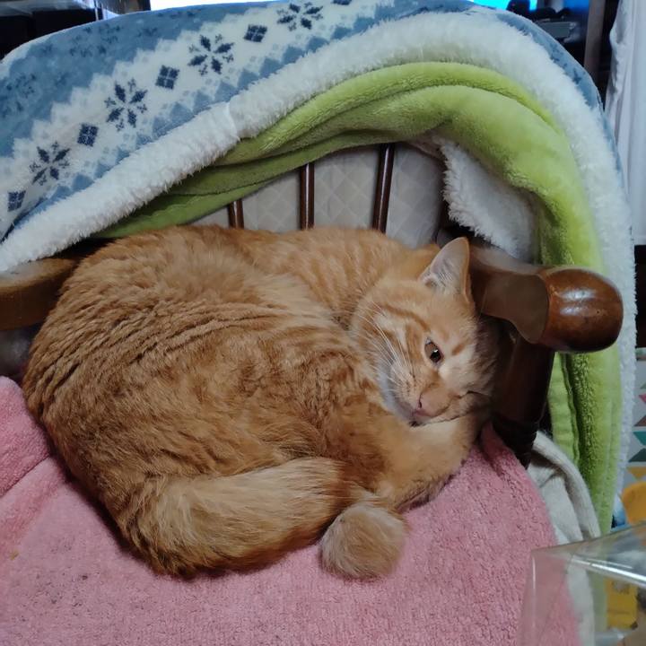 86d77839 0cfb 43dd ade3 eb1cb566b5fa 1669852101658