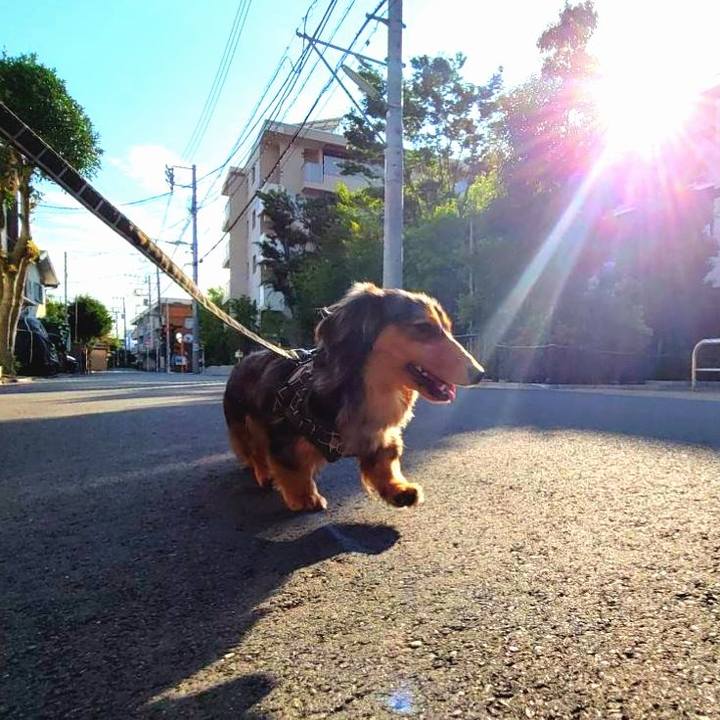 86d79cda 6388 430c 91d8 6822ffb6a768 1718664702258