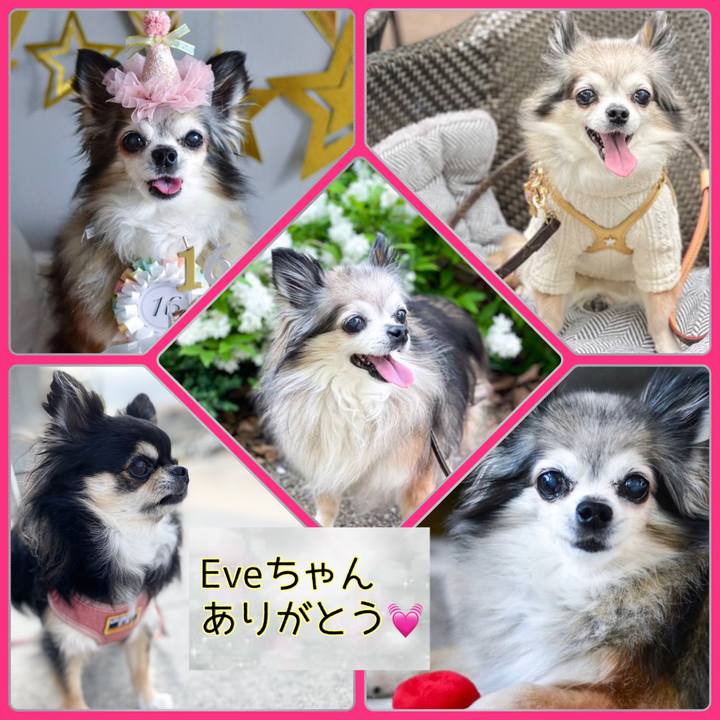 86d7ac1f 9baa 4f4d 8aa6 1517a59d0e07 1656489679863