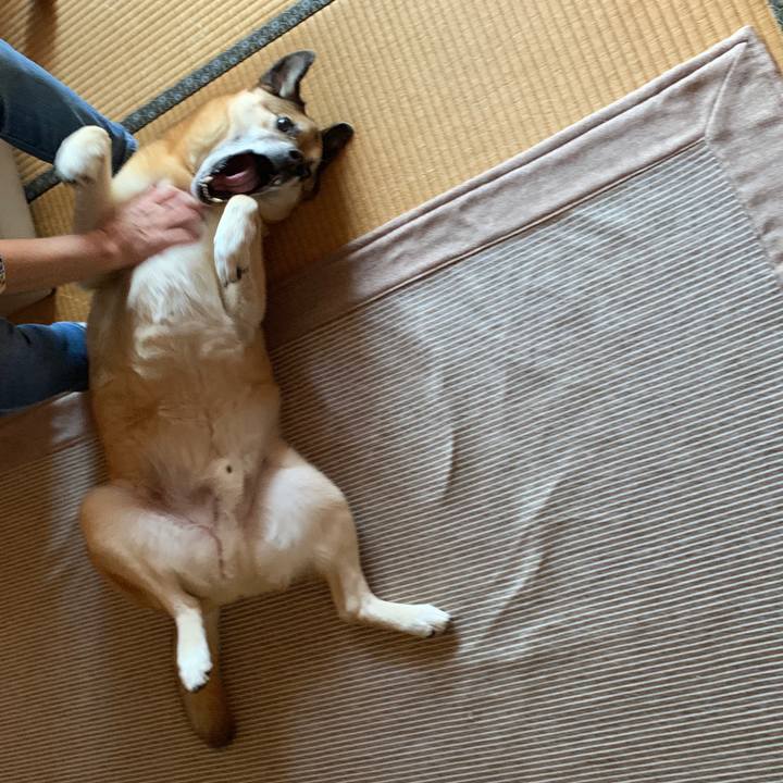 86d7fefa 0b15 47e7 a008 81c4be25e49a 1559828696715