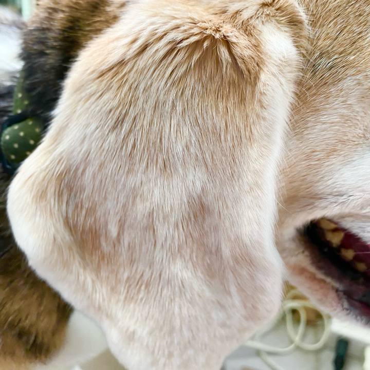 86d89294 0f31 45aa af83 f0be2287fda7 1661512416653