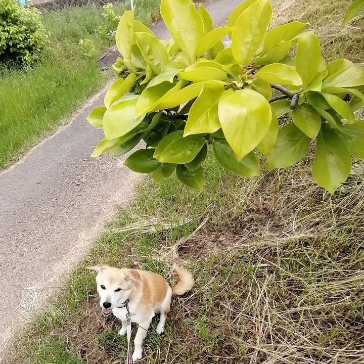 86d8baf1 d22f 4eaf b015 3b8ec8b46561 1620703529803