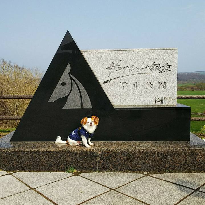 86d8c896 9b4f 49f2 9848 8bea63bf908e 1524998978891