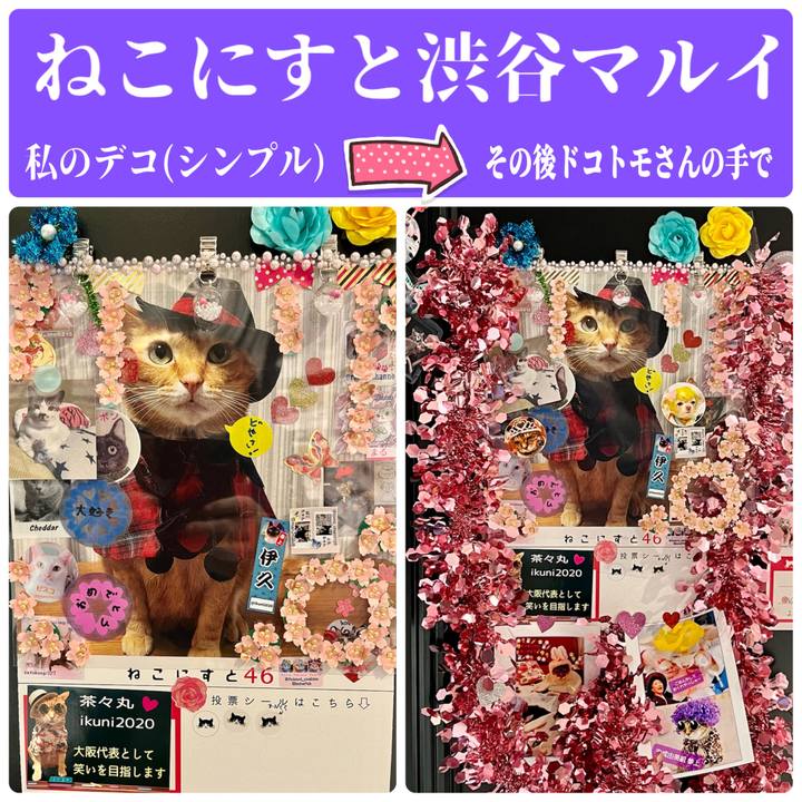 86d8ecac e279 4ee6 b443 1f59d3ce128b 1648450356020