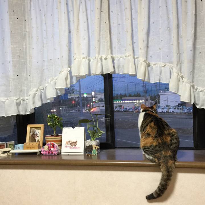 86d8f081 8885 43ac 902e 893764532fa3 1653473394221