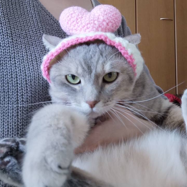 86d8f8e7 54e0 4525 b0bd 2a2cedc1352f 1569336281241