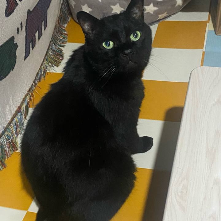 86d8fe9a 7da7 4175 ad8e 5668e90d14a0 1719119579717