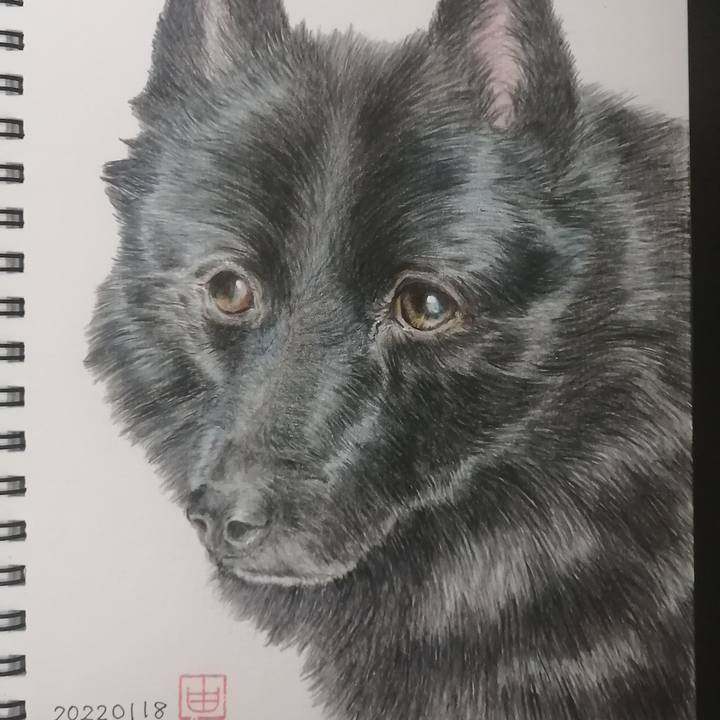 86d90adb 1d34 4289 9f00 e3bd90b98223 1642513232556