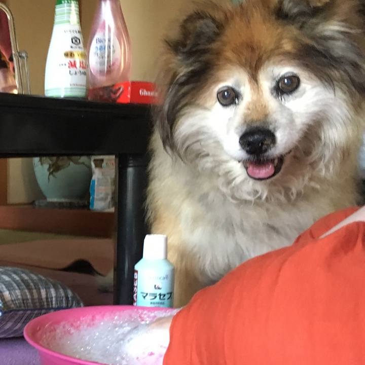 86d90bab 324b 40a7 9a81 43e9cbd3089c 1584003712555