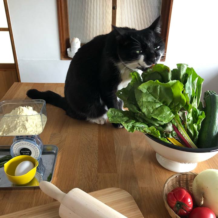 86d90bcc 3970 468f 827a f40ca6086c83 1558861102377