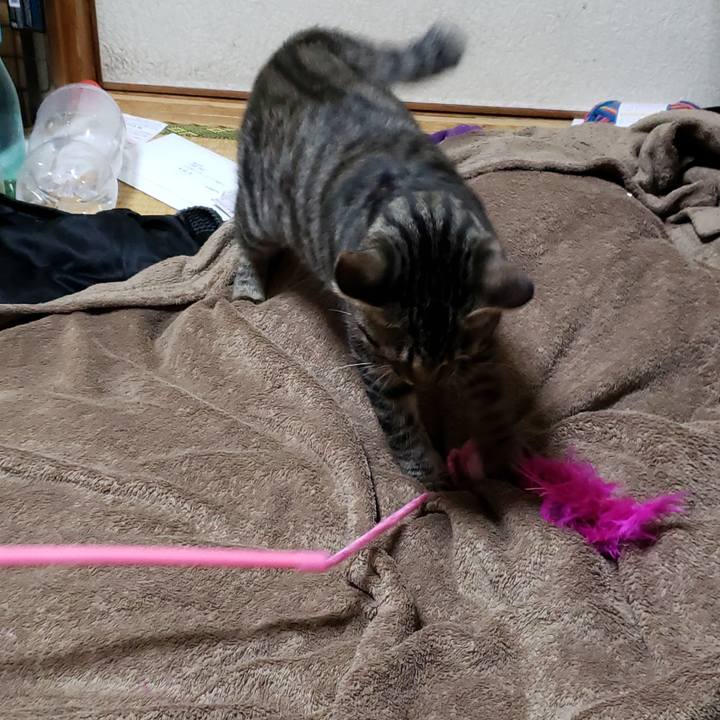 86d91b0a ed1a 45f3 85e0 1e5b29994e2d 1541846582456