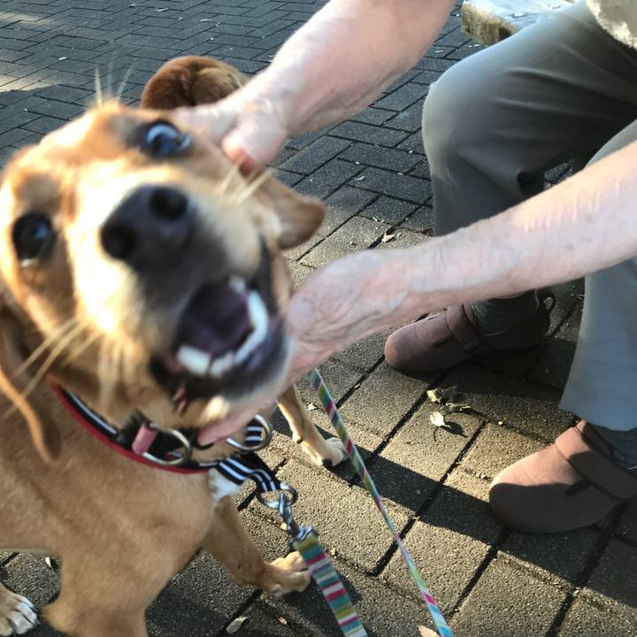 86d9336a 0905 421e 9275 5c8e606fe11e 1538822716977