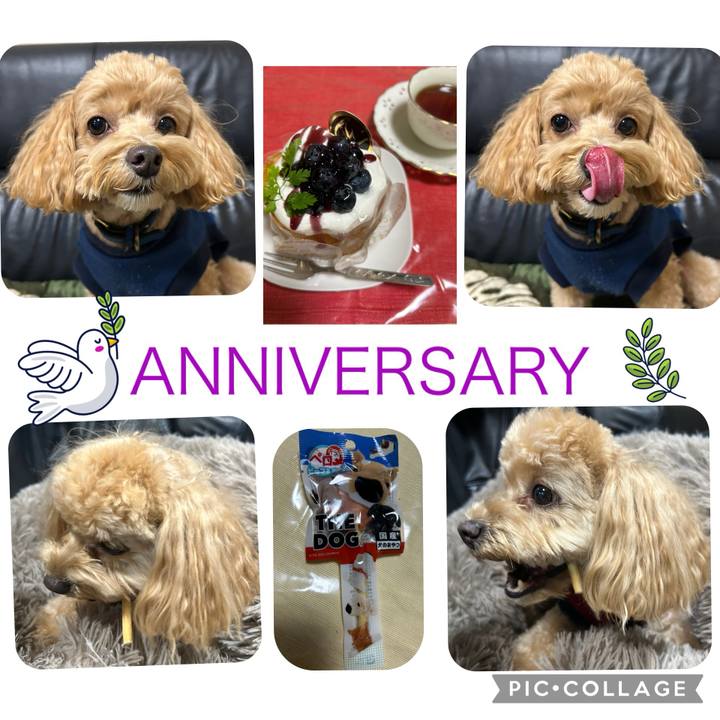 86d95b00 b1c1 4d79 a13b b04fbd48e4c7 1732199724692