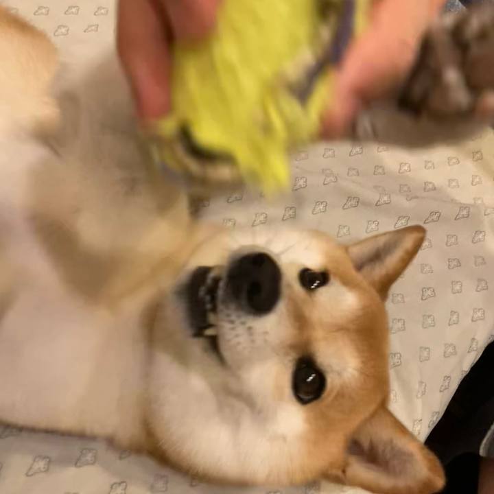 86d984f3 e110 4feb 89f7 53e477a07614 1750426614351