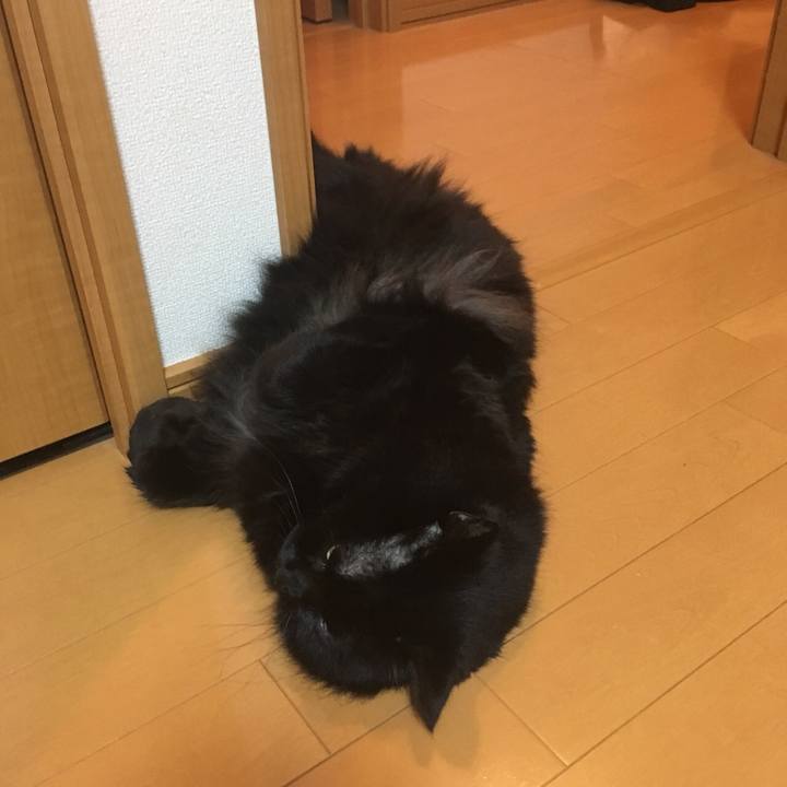 86d9b3ce 2755 4591 be56 47a82b946124 1531580484237