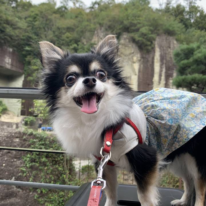 86d9b5d3 7fc5 44eb 8c6b c3d764e80825 1765252684678