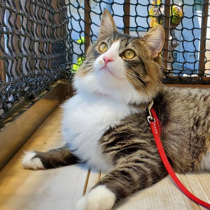 86d9f16e e5d8 4d21 a889 5f7c8c854616 1656201642194