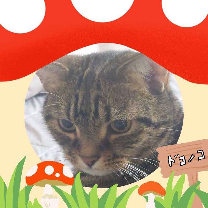 86d9f3e2 4cb6 4c4f a4de 87057643447d 1729074268908