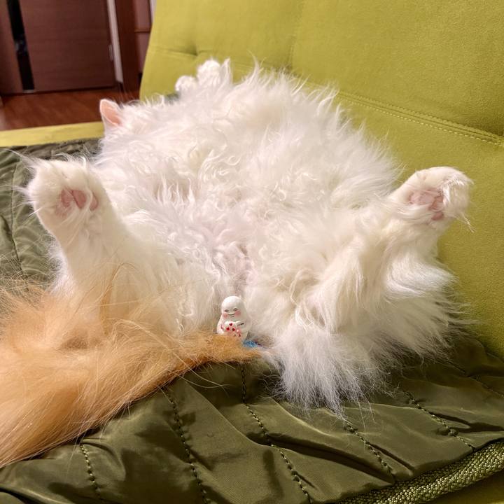 86d9f802 70c9 486c b792 a16f43af57a0 1775969726013