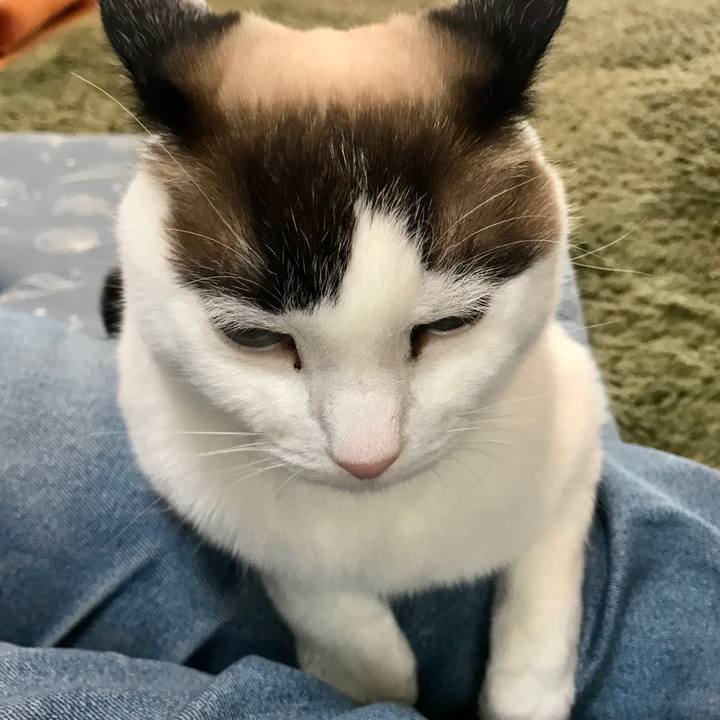 86da4b56 13c5 45d6 90ed dbb084761c3b 1582702430637