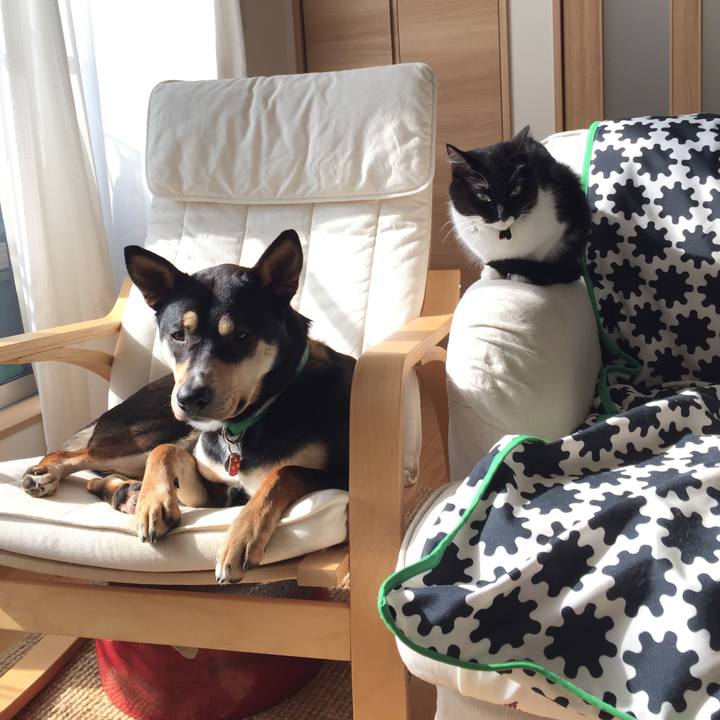 86da5981 9f1e 4591 8cd1 a5138fee4d8f 1519264806036