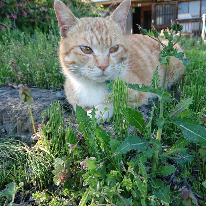 86da7082 2202 4851 8195 bdb32273f56b 1556959373005