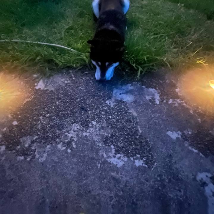 86da9460 ee6f 415b b305 335757abae6f 1658356699180