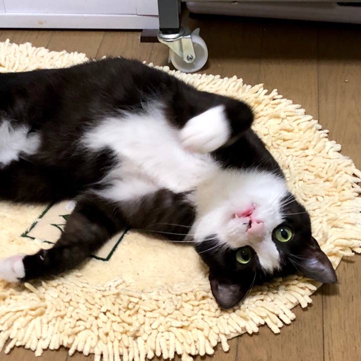 86dac48d 48e3 40a4 bbc6 da59732cd8be 1527574183622