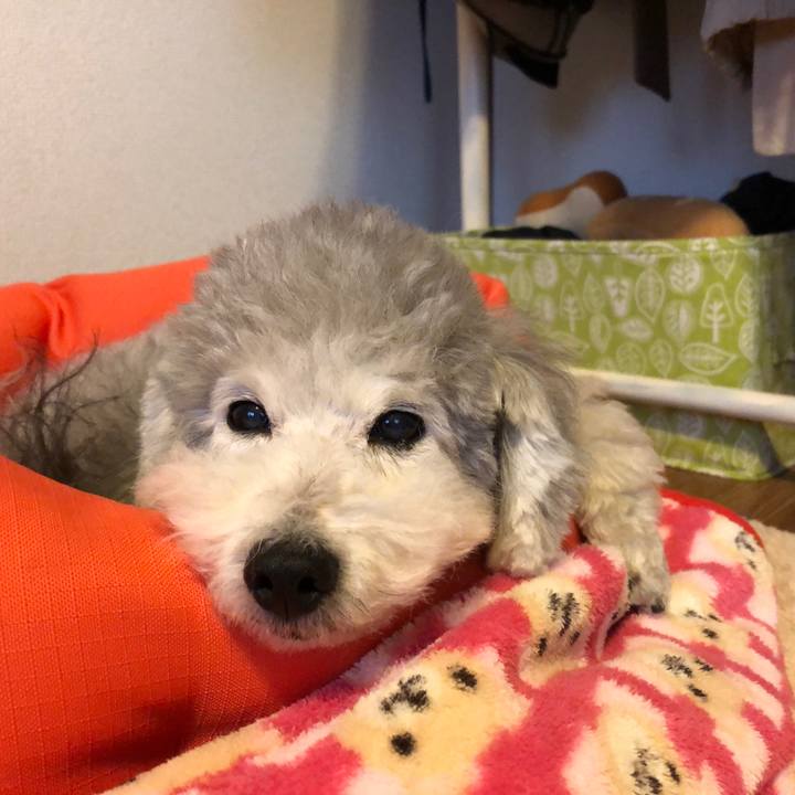 86db01d8 1db3 474e a1e5 ed9238155363 1543964593198