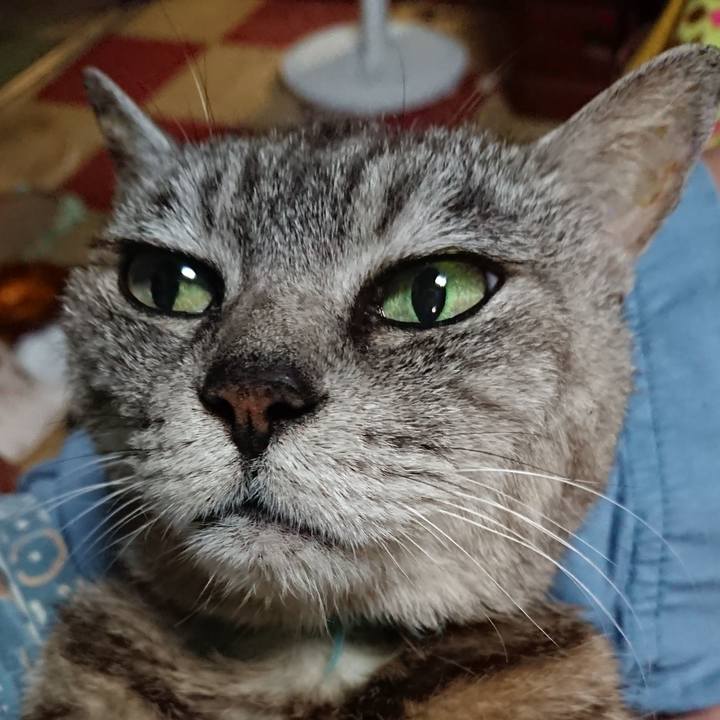 86db5927 424d 4159 95a9 b03135acc433 1565178376332