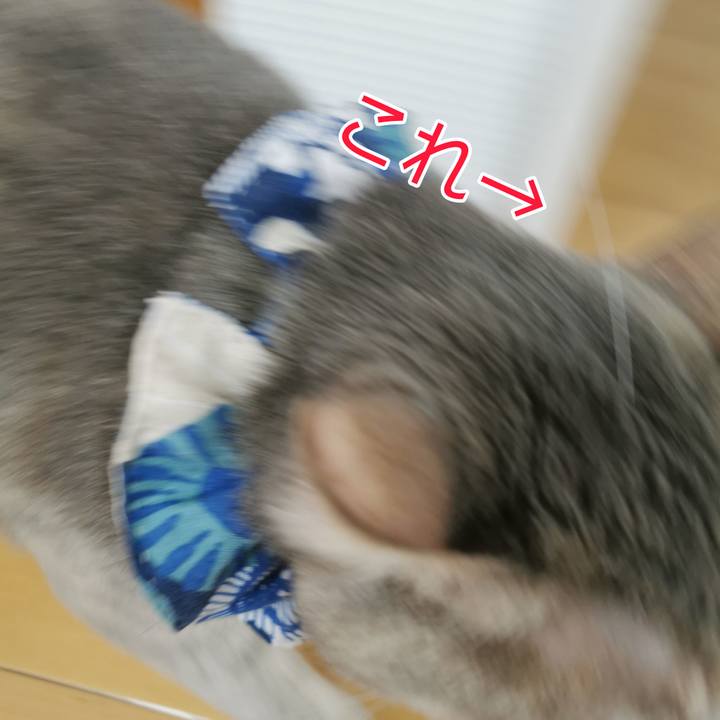 86db5ac4 a064 4d35 a9cd 1dd1c7663b71 1679631440436