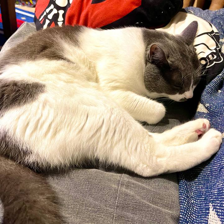 86db99a7 2696 4169 9248 8b44820824ad 1659785897697