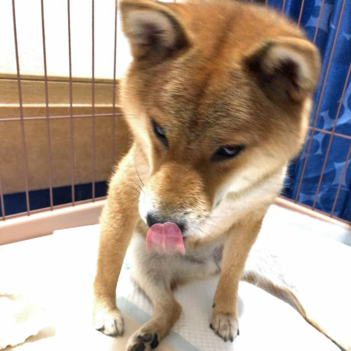 86dba726 db6c 47a1 a704 4cee6e1e219b 1534805959289