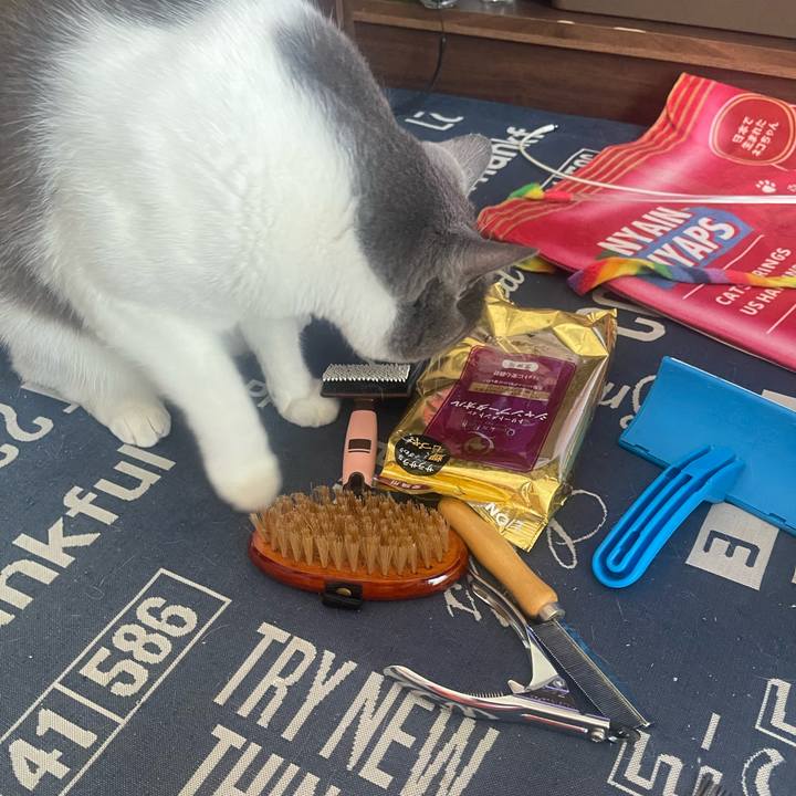 86dbb008 1e16 424c 91a6 8956cfa7d0f8 1724548594612