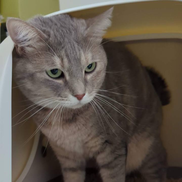 86dbb25b b06a 4531 a73d d47b989ec89d 1696479053337