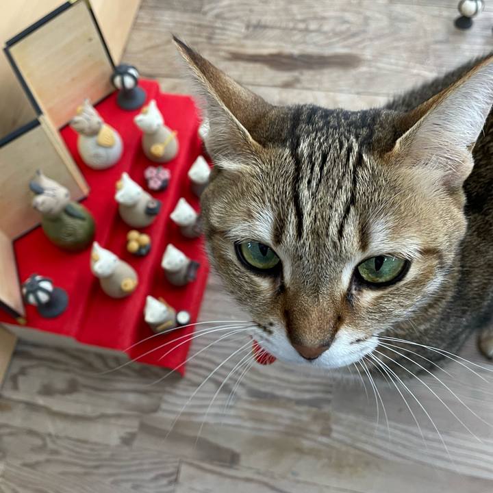 86dbbac3 0aa8 4212 b13f 57cc329a6687 1675669414979