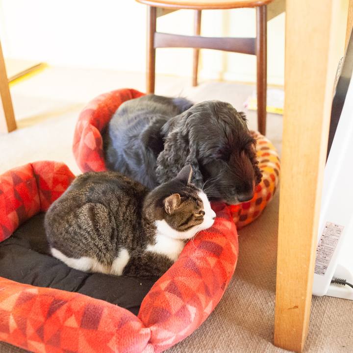 86dbf7df 4224 4194 a424 dde3fbacdd24 1582015029790