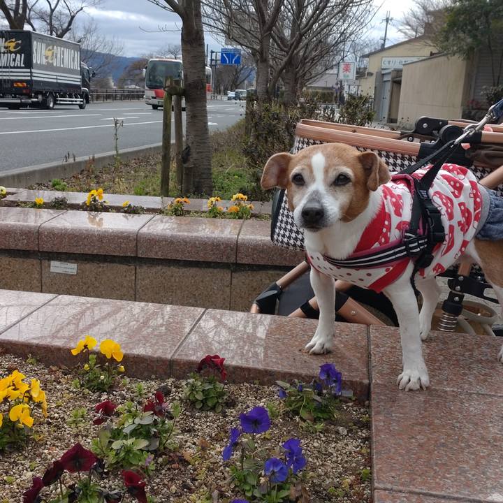 86dc327a 588f 42a7 bc7f daf5b1d9c657 1773577568176