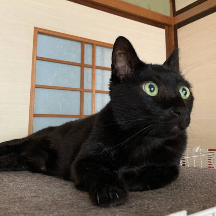 86dc7f0d 7ef8 45f7 ad56 84b03ea80c16 1596848460451