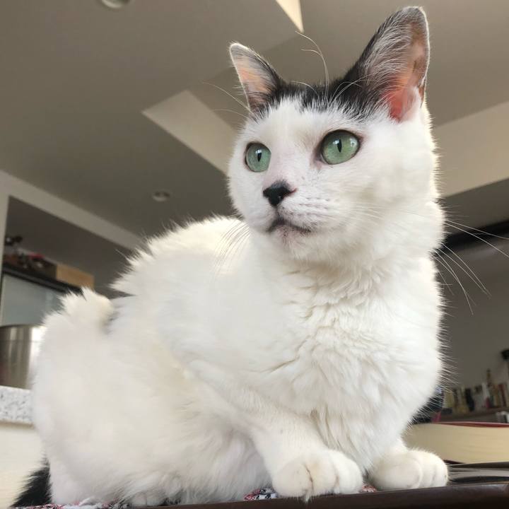 86dc822b 620d 4ba2 b5a1 65864c5f4fff 1599089567196