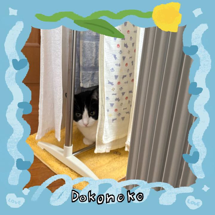 86dc9d44 87c5 4252 84a0 9b4f95189c43 1772143796599